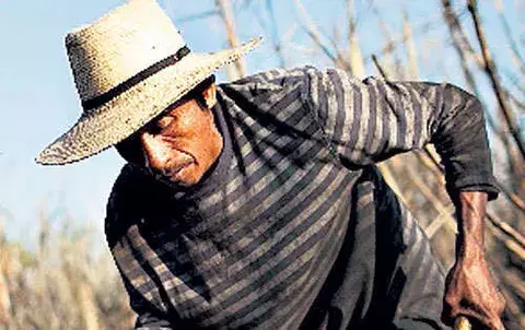 Guatemala   negocia posible TLC con Israel 
