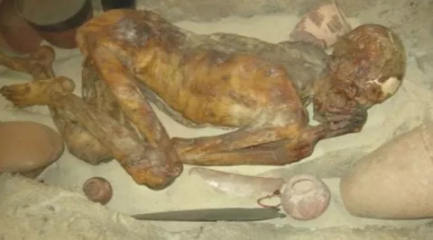 La momia más antigua murió apuñalado por la espalda