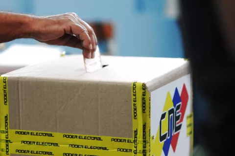 Venezolanos acuden con entusiasmo a votar en Costa Rica