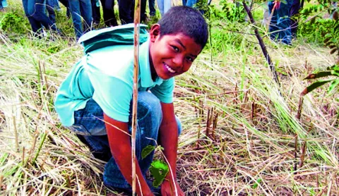 Grupo comunitario Cadena Verde siembra plantones    