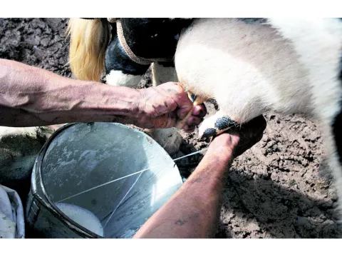 Fincas agroturísticas son otra alternativa 