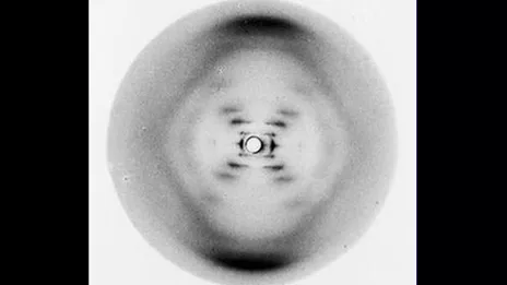 La foto cientifica del siglo será revelada