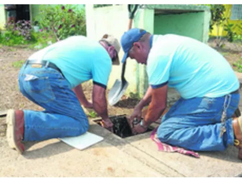 AAUD recomienda a    la población mejorar el manejo de la basura  