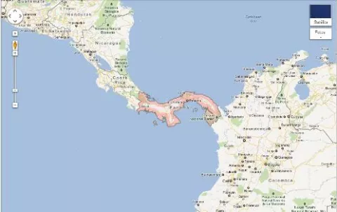 Google Maps anuncia actualización de información de tráfico en tiempo real
