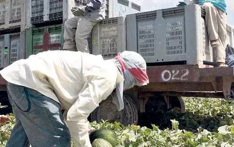 Aumenta la importación de insumos agrícolas 