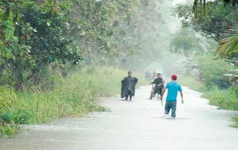 Lluvias causan la muerte de una persona y el colapso del  puente sobre el río Piedra 