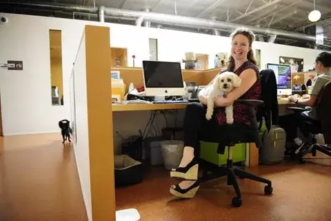 Empleos como beneficio dejan traer el perro al trabajo