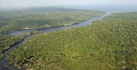 Donan 6.5 millones de dólares a Perú para conservación de biodiversidad
