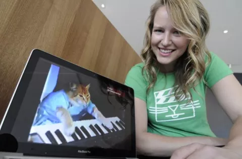 Los videos de gatos son de los más vistos en Youtube