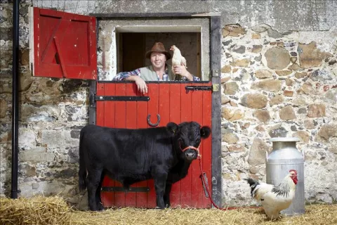 Conozca el toro más bajo y el perro más alto del mundo