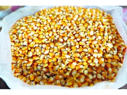 Provincias mayores productoras de maíz en el periodo 2012-2013 