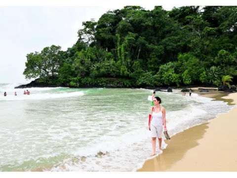 Isla Bastimentos, entre playas  y ranas