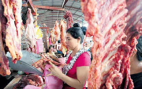 Crecen las exportaciones de Nicaragua  
