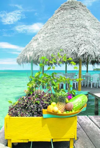 Promocionan los paisajes de Bocas