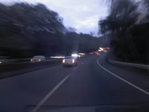 Capturan en Florida serpiente de casi 6 metros 