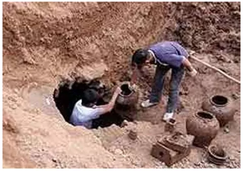 Identifican un trozo de ternera de 2,000 años en una tumba
