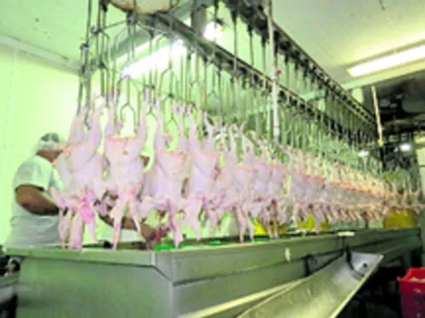   Especulación y demanda de   productos disparan los precios 