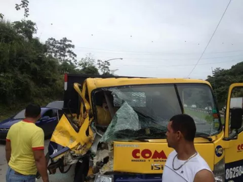 Tortuga con imagen de la virgen de Guadalupe causa revuelo 