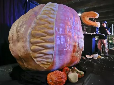Calabazas gigantes invaden terminal de trenes de Nueva York 