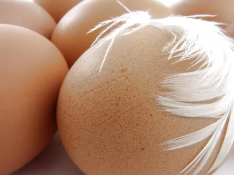 Un huevo "kinder" de la vida real 