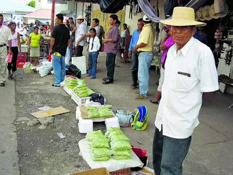 Sembrar para el autoconsumo garantiza que no se caiga en la especulación que surge en la temporada 