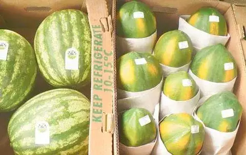 Productores azuerenses exportan sus zapallos al mercado estadounidense 
