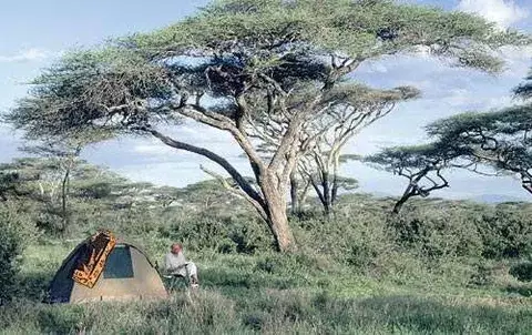  Recomendaciones para vivir un excitante safari en África del Este 