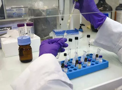 Crean material tridimensional que se asemeja a los tejidos biológicos