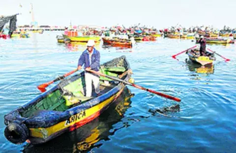 Pescadores de Arica, entre incertidumbre y optimismo 