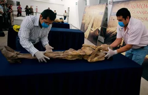 Momias protagonizan altar de muertos en un museo