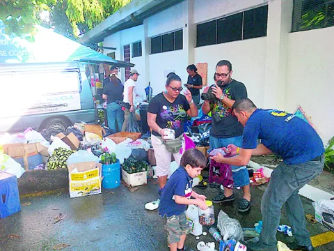 Artistas y voluntarios buscan colaborar con el medioambiente 