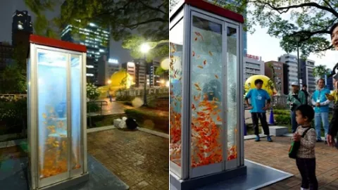 Convierten cabinas telefónicas en peceras gigantescas