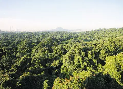 La ciudad desde arriba 