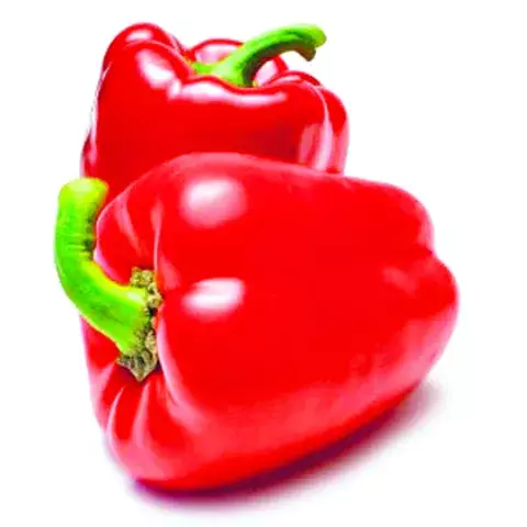 Pepper poppers 