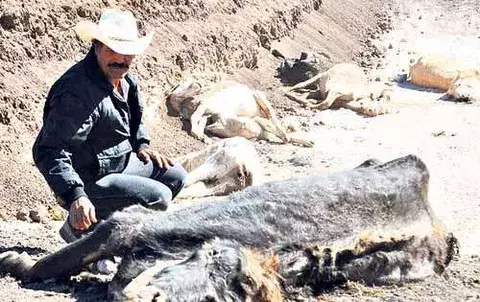 América Latina entre diluvios, una fuerte sequía  y el hambre 
