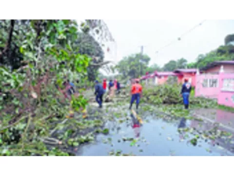Tras vendaval hurtan cables de cobre en Changuinola   