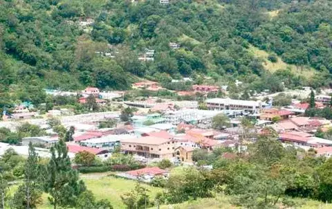 Pestilencia en  distrito de Boquete 