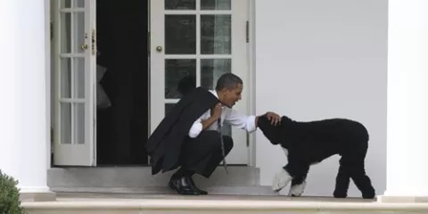 Netanyahu regalará una hamburguesa de plástico al perro de Obama