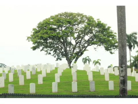 En el cementerio gringo hay restos del siglo XVIII 