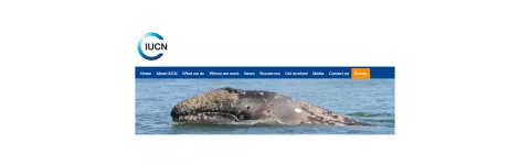 Científicos elaboran guía para reducir impacto de sondeos marinos