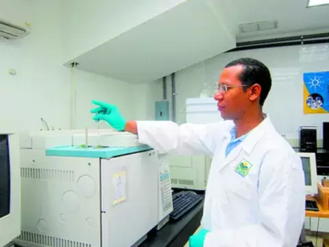 Envío de carne de bovino logra crecer 5.9% en  los primeros ocho meses del año, según la Contraloría 