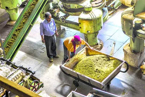 Instituciones de agricultura buscan reducir la pobreza 