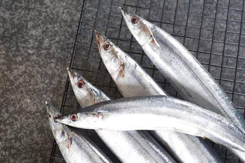Los cazadores de la Edad de Hielo crearon objetos para cocinar pescado