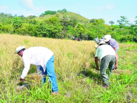 Ruta improvisada para depositar ‘caliche’ y desechos sólidos 