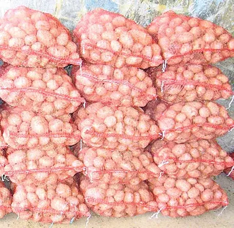 En julio instalarán primeras cadenas agroalimentarias 