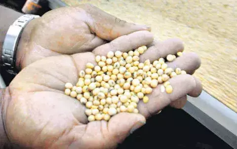Superávit brasileño crece un 81.4% hasta septiembre 