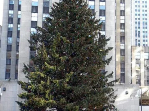El árbol navideño del Rockefeller Center sobrevivió a Sandy