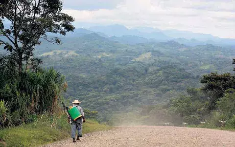 Nuevo requisito para mina de cobre 