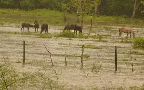 Comunidades en Chagres y Donoso afectados por deslizamientos de tierra