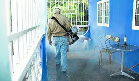 Autoridades no le dan tregua al mosquito transmisor 